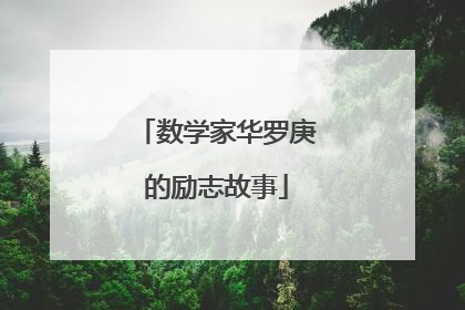 数学家华罗庚的励志故事