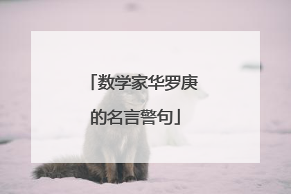 数学家华罗庚的名言警句