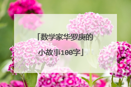 数学家华罗庚的小故事100字