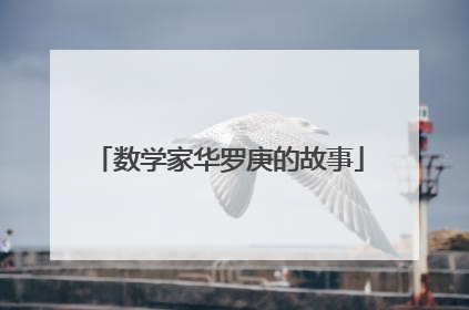 数学家华罗庚的故事