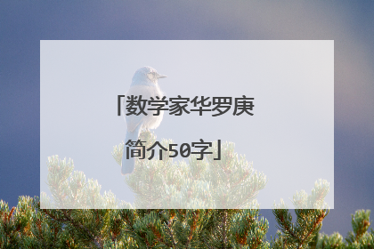数学家华罗庚简介50字