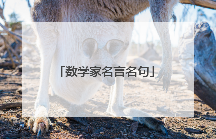 数学家名言名句