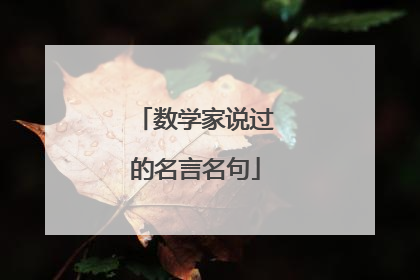 数学家说过的名言名句