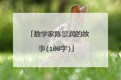 数学家陈景润的故事(100字)