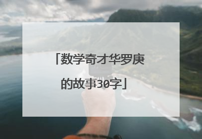 数学奇才华罗庚的故事30字