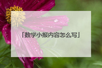 数学小报内容怎么写