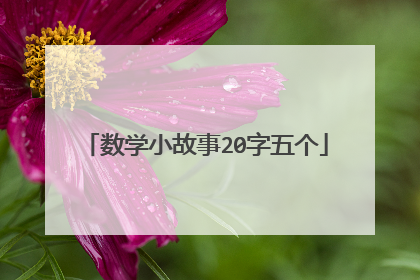 数学小故事20字五个