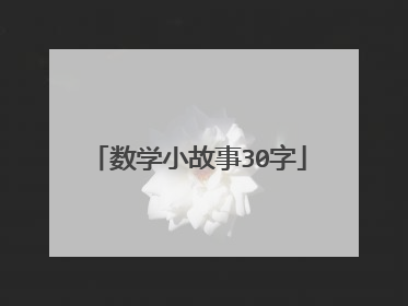 数学小故事30字