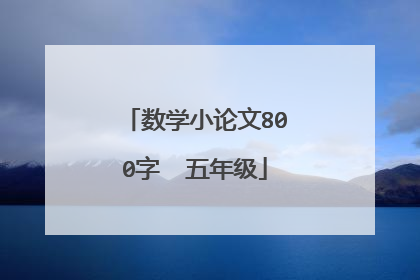 数学小论文800字 五年级