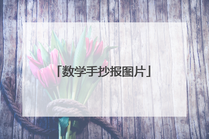 数学手抄报图片