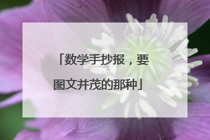 数学手抄报,要图文并茂的那种