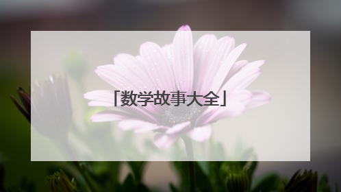 数学故事大全