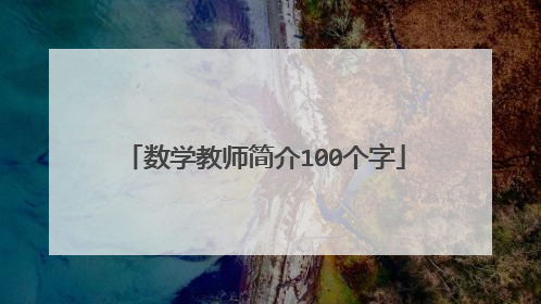 数学教师简介100个字
