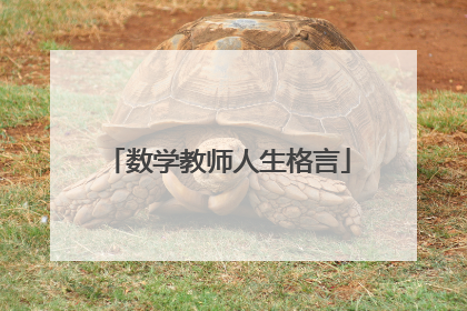 数学教师人生格言