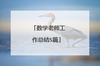 数学老师工作总结5篇