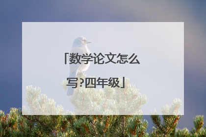 数学论文怎么写?四年级
