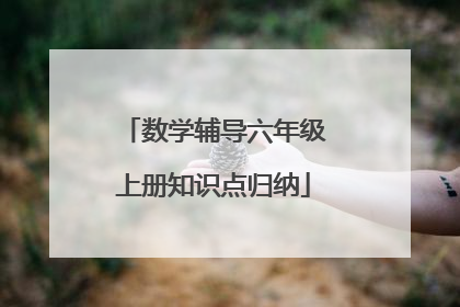 数学辅导六年级上册知识点归纳