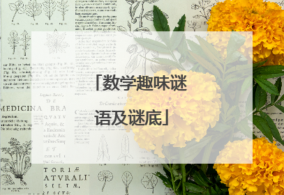 数学趣味谜语及谜底