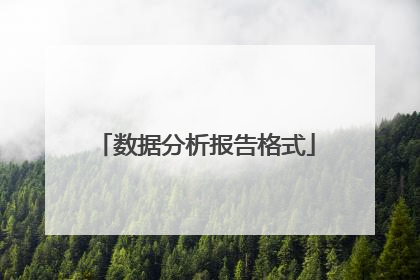 数据分析报告格式