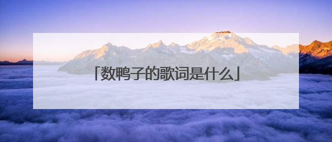 数鸭子的歌词是什么