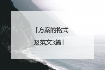 方案的格式及范文3篇