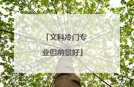 文科冷门专业但前景好