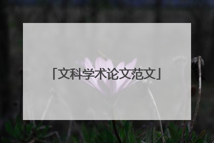 文科学术论文范文