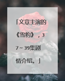 文章主演的《雪豹》,37~39集剧情介绍。