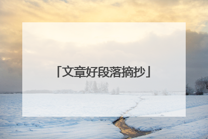 文章好段落摘抄