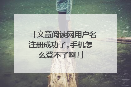 文章阅读网用户名注册成功了,手机怎么登不了啊!