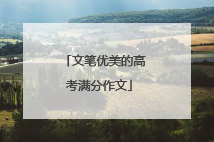 文笔优美的高考满分作文