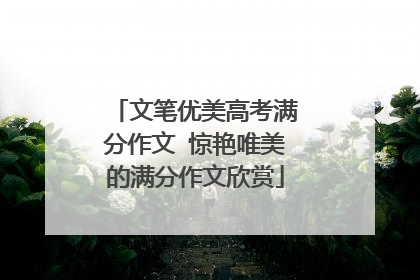 文笔优美高考满分作文 惊艳唯美的满分作文欣赏