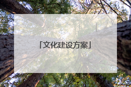 文化建设方案
