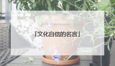 文化自信的名言