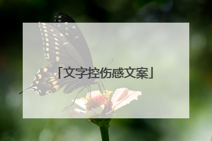 文字控伤感文案