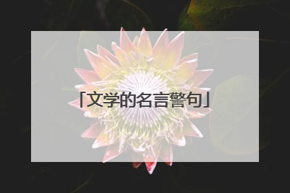 文学的名言警句