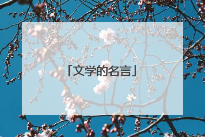 文学的名言