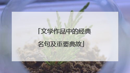 文学作品中的经典名句及重要典故