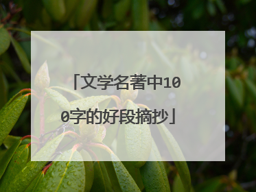 文学名著中100字的好段摘抄