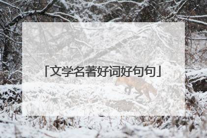 文学名著好词好句句