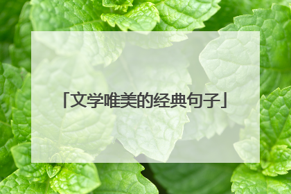 文学唯美的经典句子
