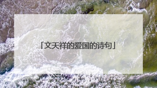 文天祥的爱国的诗句