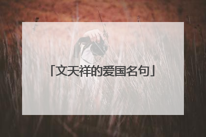 文天祥的爱国名句