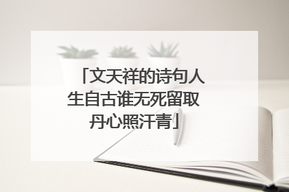 文天祥的诗句人生自古谁无死留取丹心照汗青