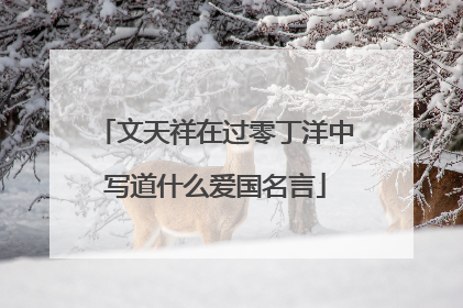 文天祥在过零丁洋中写道什么爱国名言