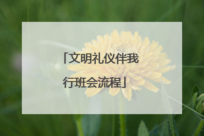 文明礼仪伴我行班会流程