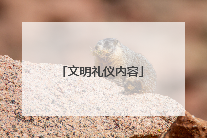 文明礼仪内容