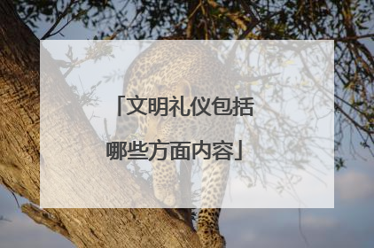 文明礼仪包括哪些方面内容