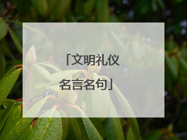 文明礼仪名言名句