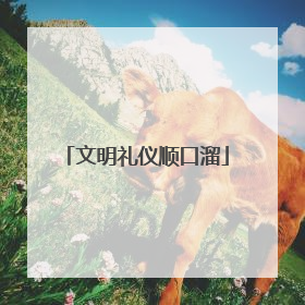文明礼仪顺口溜